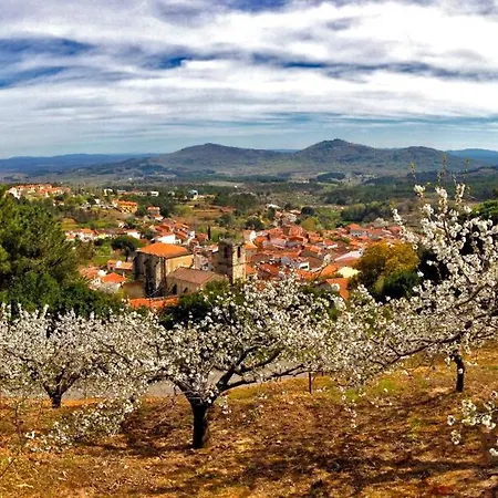 At La Abuela Antonia-el Gurugu