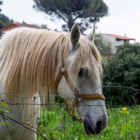 Appartement At La Abuela Antonia-el Gurugu Torre de Don Miguel